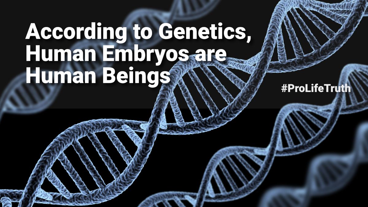 Genetically Speaking, Human Embryos are Human Beings